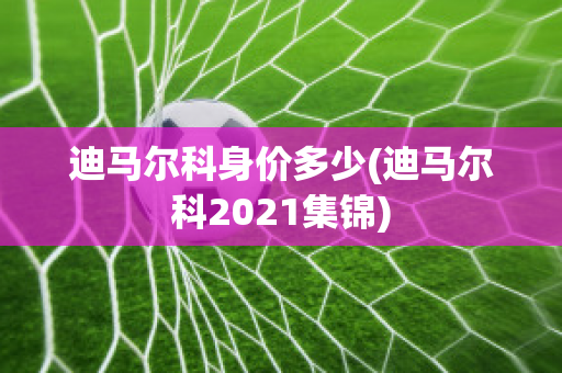 迪马尔科身价多少(迪马尔科2021集锦)