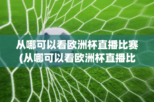 从哪可以看欧洲杯直播比赛(从哪可以看欧洲杯直播比赛视频)