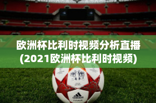 欧洲杯比利时视频分析直播(2021欧洲杯比利时视频)