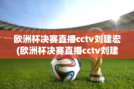 欧洲杯决赛直播cctv刘建宏(欧洲杯决赛直播cctv刘建宏回放)