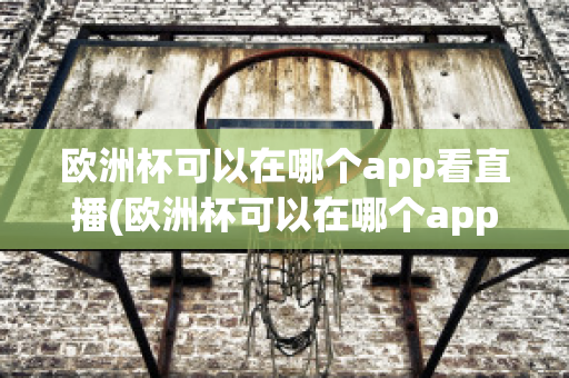 欧洲杯可以在哪个app看直播(欧洲杯可以在哪个app看直播啊)