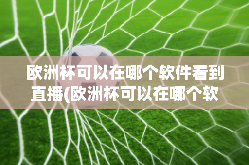 欧洲杯可以在哪个软件看到直播(欧洲杯可以在哪个软件看到直播回放)