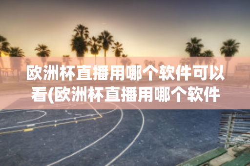 欧洲杯直播用哪个软件可以看(欧洲杯直播用哪个软件可以看到)