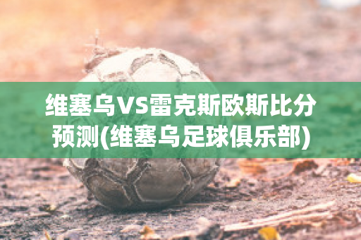 维塞乌VS雷克斯欧斯比分预测(维塞乌足球俱乐部)