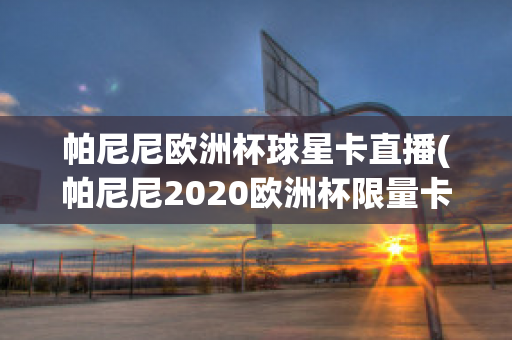 帕尼尼欧洲杯球星卡直播(帕尼尼2020欧洲杯限量卡)