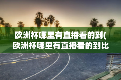 欧洲杯哪里有直播看的到(欧洲杯哪里有直播看的到比赛)