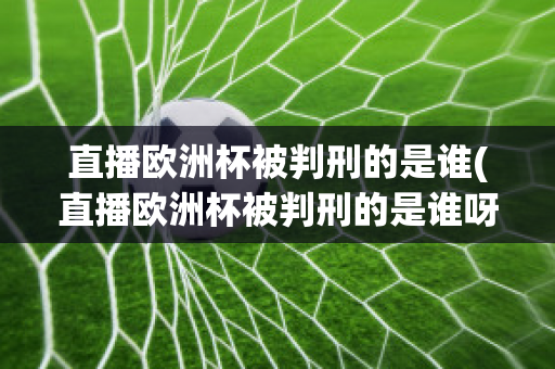 直播欧洲杯被判刑的是谁(直播欧洲杯被判刑的是谁呀)