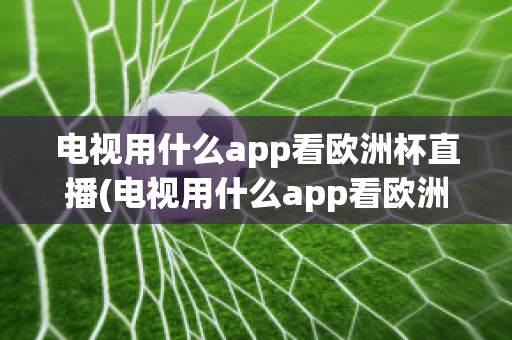 电视用什么app看欧洲杯直播(电视用什么app看欧洲杯直播免费)