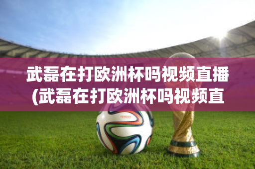 武磊在打欧洲杯吗视频直播(武磊在打欧洲杯吗视频直播在线观看)