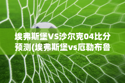 埃弗斯堡VS沙尔克04比分预测(埃弗斯堡vs厄勒布鲁比分)