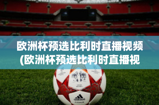 欧洲杯预选比利时直播视频(欧洲杯预选比利时直播视频在线观看)