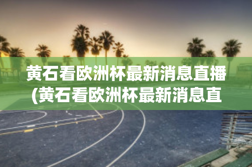 黄石看欧洲杯最新消息直播(黄石看欧洲杯最新消息直播回放)