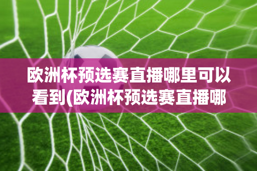 欧洲杯预选赛直播哪里可以看到(欧洲杯预选赛直播哪里可以看到啊)