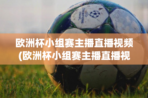 欧洲杯小组赛主播直播视频(欧洲杯小组赛主播直播视频在线观看)