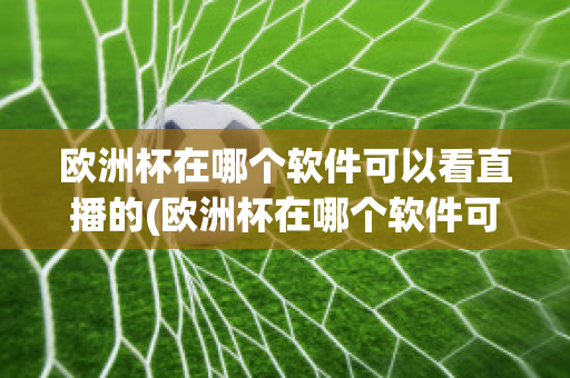 欧洲杯在哪个软件可以看直播的(欧洲杯在哪个软件可以看直播的视频)