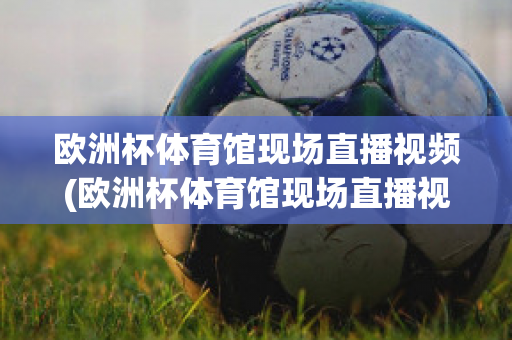 欧洲杯体育馆现场直播视频(欧洲杯体育馆现场直播视频在线观看)