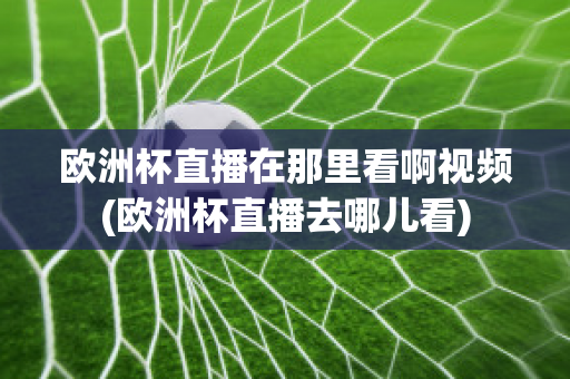 欧洲杯直播在那里看啊视频(欧洲杯直播去哪儿看)