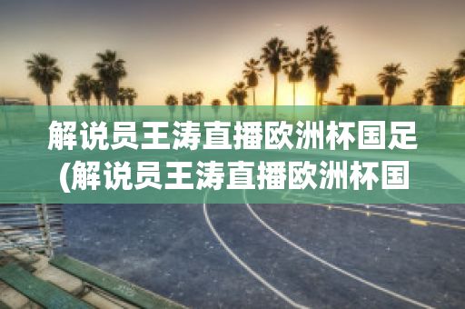 解说员王涛直播欧洲杯国足(解说员王涛直播欧洲杯国足比赛)