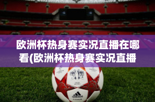 欧洲杯热身赛实况直播在哪看(欧洲杯热身赛实况直播在哪看回放)