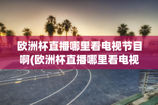 欧洲杯直播哪里看电视节目啊(欧洲杯直播哪里看电视节目啊回放)