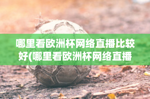 哪里看欧洲杯网络直播比较好(哪里看欧洲杯网络直播比较好看)