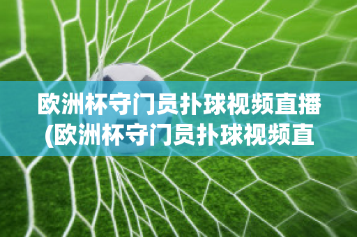 欧洲杯守门员扑球视频直播(欧洲杯守门员扑球视频直播回放)