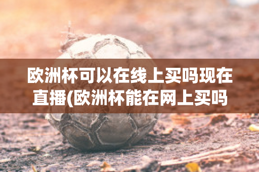 欧洲杯可以在线上买吗现在直播(欧洲杯能在网上买吗)