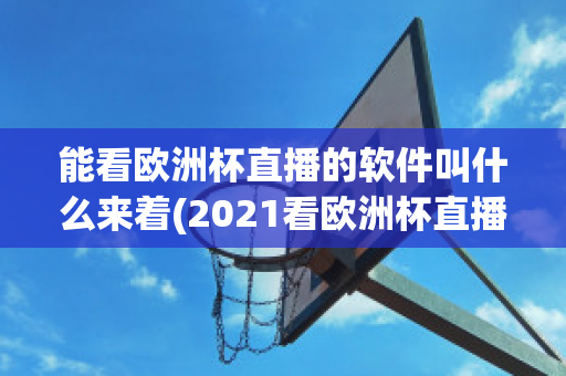 能看欧洲杯直播的软件叫什么来着(2021看欧洲杯直播用什么app)