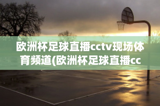 欧洲杯足球直播cctv现场体育频道(欧洲杯足球直播cctv现场体育频道在线观看)