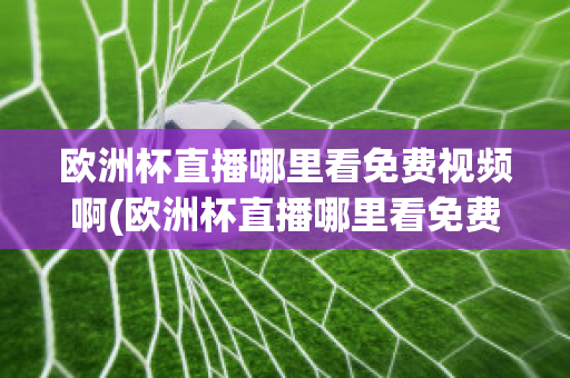 欧洲杯直播哪里看免费视频啊(欧洲杯直播哪里看免费视频啊最新)