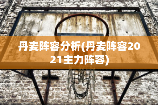 丹麦阵容分析(丹麦阵容2021主力阵容)