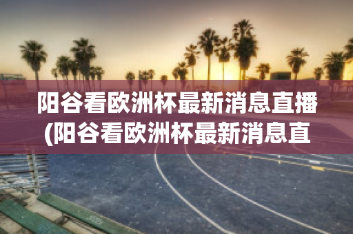 阳谷看欧洲杯最新消息直播(阳谷看欧洲杯最新消息直播回放)