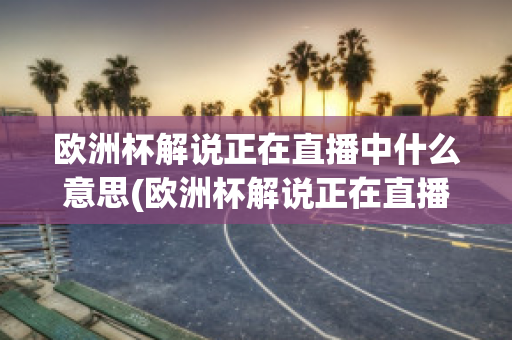 欧洲杯解说正在直播中什么意思(欧洲杯解说正在直播中什么意思呀)