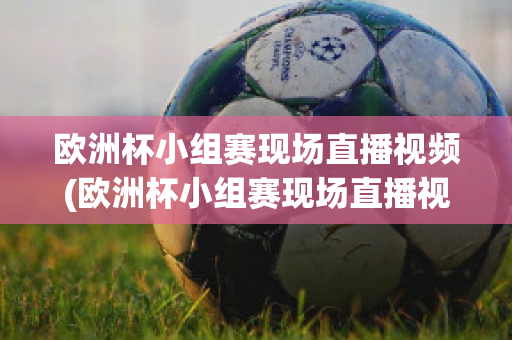 欧洲杯小组赛现场直播视频(欧洲杯小组赛现场直播视频在线观看)