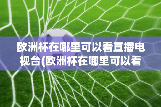 欧洲杯在哪里可以看直播电视台(欧洲杯在哪里可以看直播电视台节目)