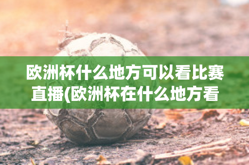 欧洲杯什么地方可以看比赛直播(欧洲杯在什么地方看直播)