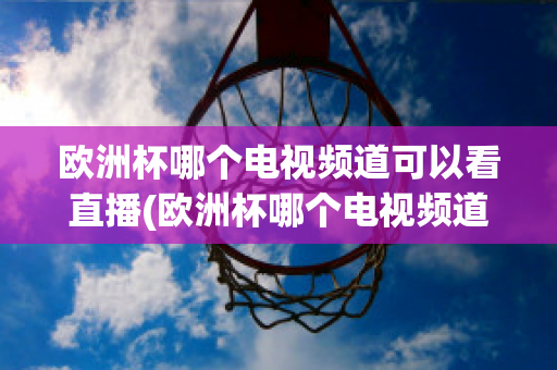 欧洲杯哪个电视频道可以看直播(欧洲杯哪个电视频道可以看直播的)