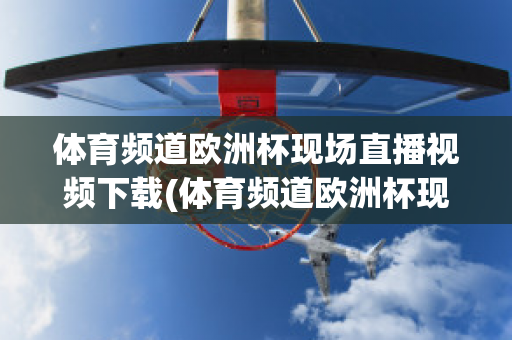 体育频道欧洲杯现场直播视频下载(体育频道欧洲杯现场直播视频下载软件)