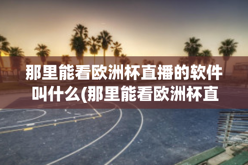 那里能看欧洲杯直播的软件叫什么(那里能看欧洲杯直播的软件叫什么来着)