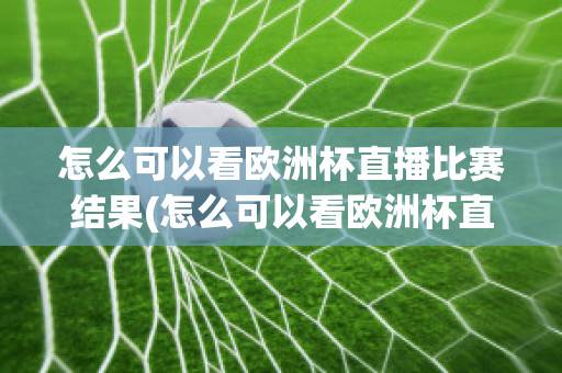 怎么可以看欧洲杯直播比赛结果(怎么可以看欧洲杯直播比赛结果视频)