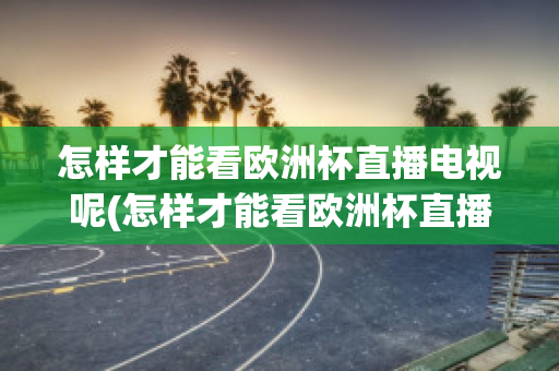 怎样才能看欧洲杯直播电视呢(怎样才能看欧洲杯直播电视呢英文)