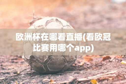 欧洲杯在哪看直播(看欧冠比赛用哪个app)