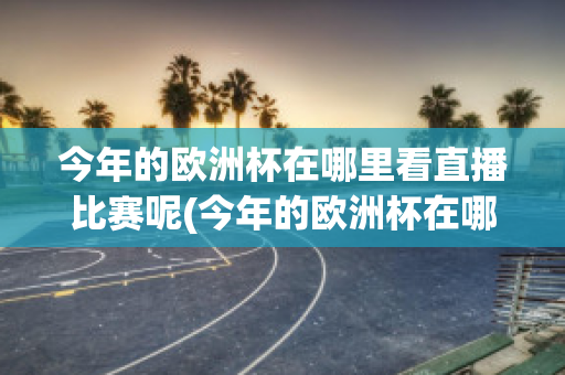 今年的欧洲杯在哪里看直播比赛呢(今年的欧洲杯在哪里看直播比赛呢英文)