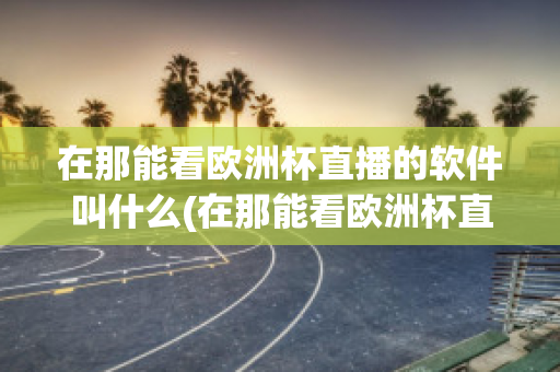 在那能看欧洲杯直播的软件叫什么(在那能看欧洲杯直播的软件叫什么来着)