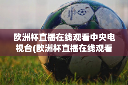 欧洲杯直播在线观看中央电视台(欧洲杯直播在线观看中央电视台回放)