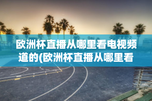 欧洲杯直播从哪里看电视频道的(欧洲杯直播从哪里看电视频道的回放)