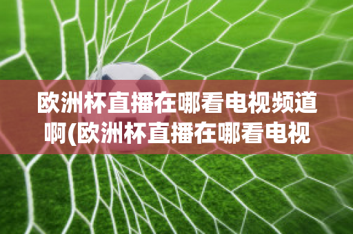 欧洲杯直播在哪看电视频道啊(欧洲杯直播在哪看电视频道啊视频回放)