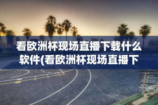 看欧洲杯现场直播下载什么软件(看欧洲杯现场直播下载什么软件最好)