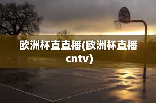 欧洲杯直直播(欧洲杯直播 cntv)