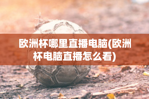 欧洲杯哪里直播电脑(欧洲杯电脑直播怎么看)